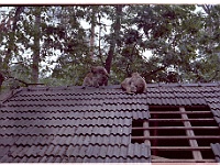 foto0014