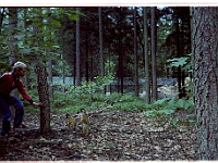 foto0016