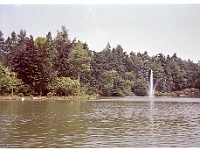 foto0019  Wandelpark rond de apeheul