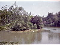 foto0021