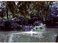 foto0066