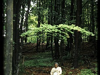 foto0006