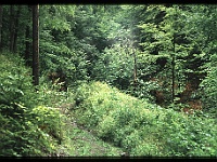 foto0007
