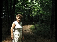 foto0010