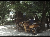 foto0055