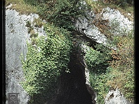 foto0058