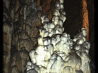foto0066
