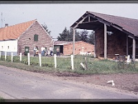 foto0006