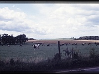 foto0024