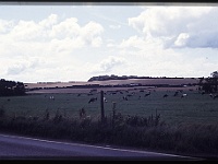 foto0025