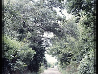foto0031