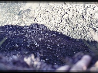 foto0038