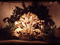 foto0045