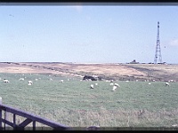 foto0052
