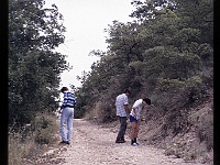 foto0004