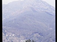 foto0009