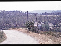 foto0010