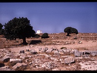 foto0066