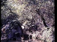foto0072
