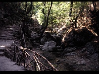 foto0075