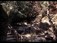foto0078