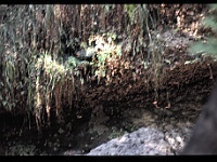 foto0079