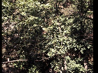 foto0081