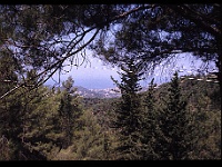 foto0123