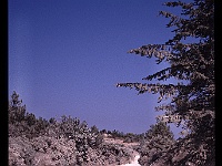 foto0125