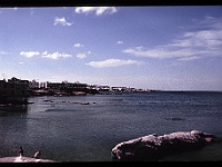 foto0026