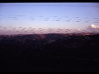 foto0029