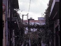 foto0058