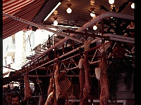 foto0087