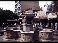 foto0088