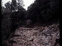 foto0106