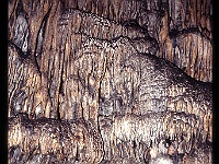 foto0110