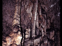 foto0115