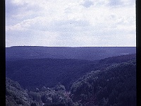 foto0005