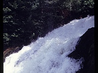 foto0008