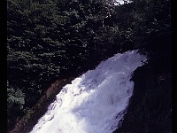foto0009