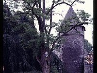 foto0021