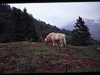 foto0059