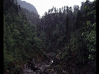 foto0061