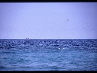 foto0020
