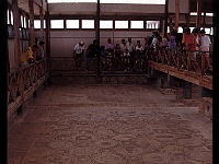 foto0031