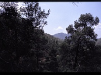 foto0049