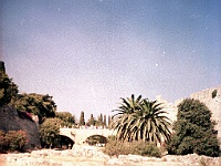 Scannen0330