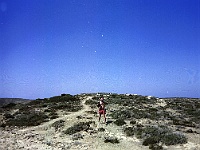 Scannen0349