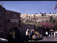 foto0006