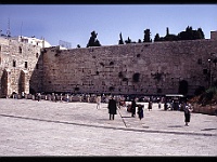 foto0008